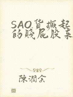 SAO货撅起你的贱屁股来封面