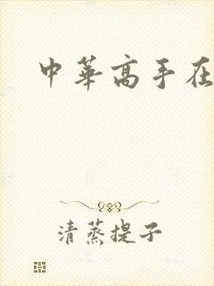 中华高手在异世