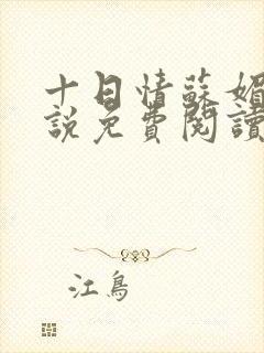 十日情苏媚的小说免费阅读全文封面