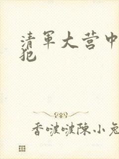 清军大营中的女犯封面