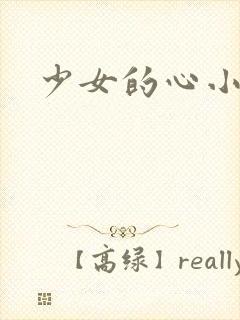 少女的心小说封面