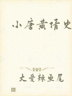 小唐黄倩史
