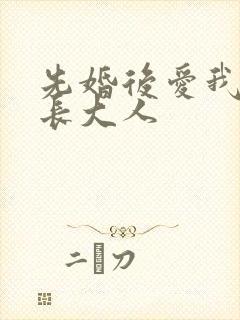 先婚后爱我的市长大人