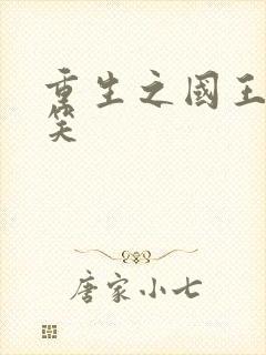 重生之国王的微笑封面