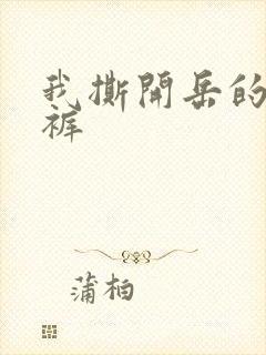 我撕开岳的丁字裤封面