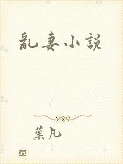 乱妻小说