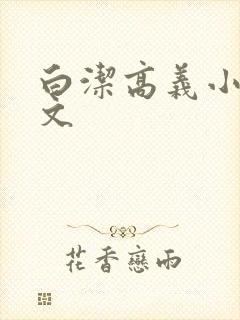 白洁高义小说全文