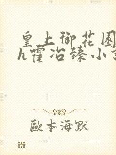 皇上御花园hlh霍冶臻小说