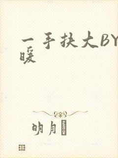 一手扶大BY泱暖封面