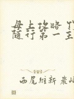 母上攻略 竹影随行第一主板