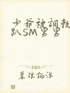 少爷被调教室跪趴SM男男