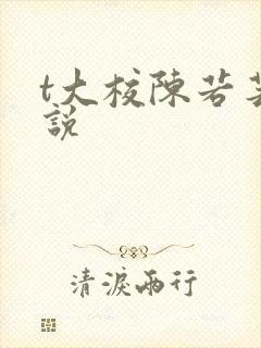 t大校陈若芸小说