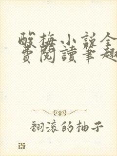 酸梅小说全文免费阅读笔趣阁