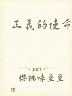 正义的使命小说