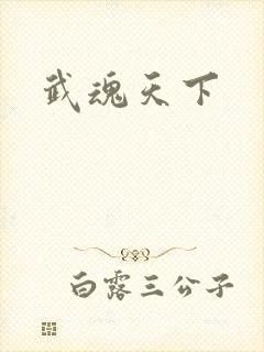 武魂天下