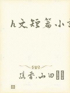 h文短篇小说封面