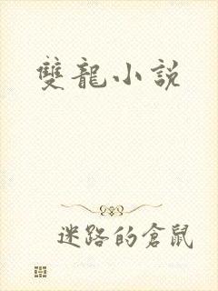 双龙小说封面