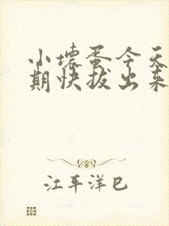 小坏蛋今天危险期快拔出来封面