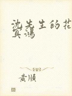 沈先生的花式调冥鸿