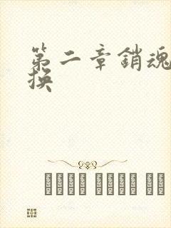 第二章销魂的交换