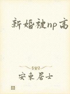 新婚被np高h