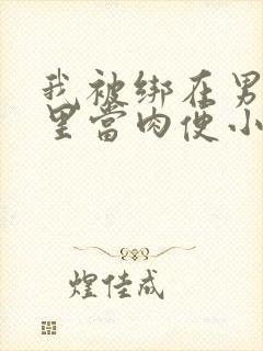 我被绑在男公厕里当肉便小说