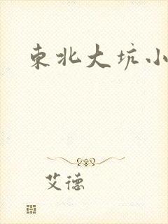 东北大坑小说