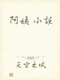 阿姨 小说
