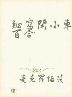 细写开小车车的百合