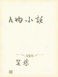 h肉小说