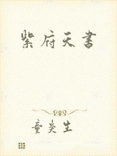 紫府天书