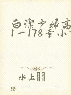 白洁少妇高义第1一178章小说
