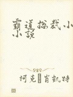 霸道总裁小娇妻小说