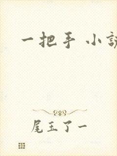 一把手 小说封面