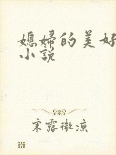 媳妇的美好时代小说