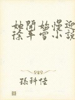 她开始慢迎迎合徐平雪小说封面