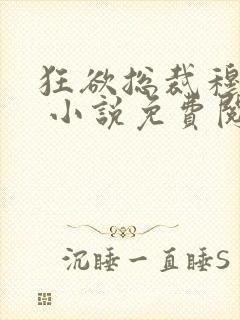 狂欲总裁穆非雪 小说免费阅读