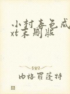 小村春色成刚txt末删版