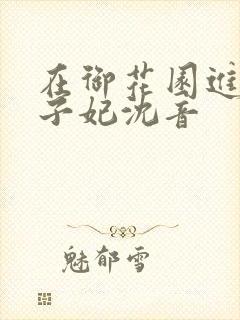 在御花园进入太子妃沈音封面