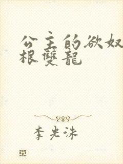 公主的欲奴h四根双龙