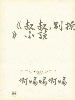 《叔叔,别撩我》小说封面