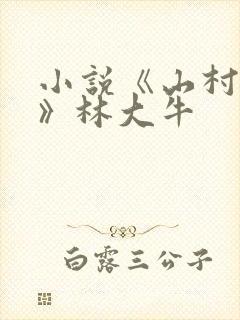 小说《山村情事》林大牛