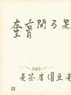 左右开弓是什么生肖封面