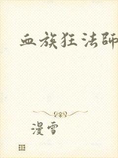 血族狂法师封面