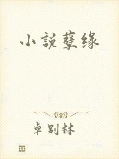 小说孽缘