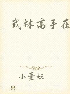 武林高手在异界