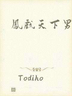 凤戏天下男封面