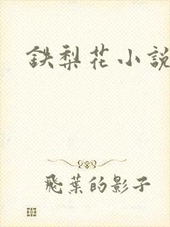 铁梨花小说
