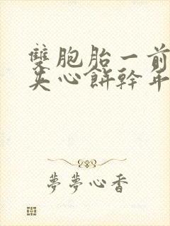 双胞胎一前一后夹心饼干年下