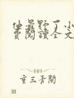 他最野了小说免费阅读全文